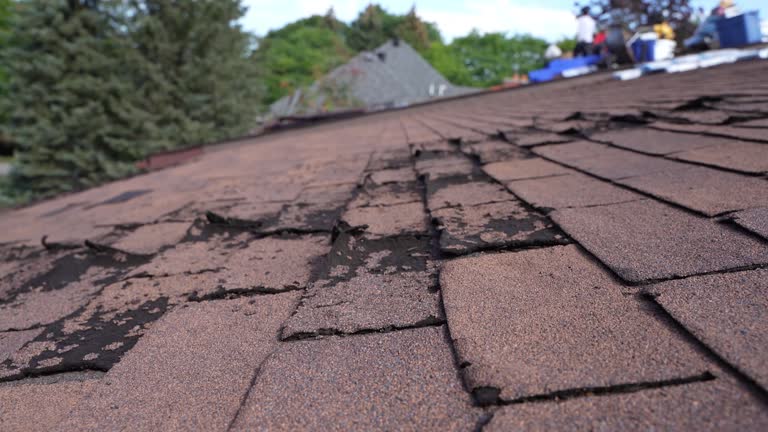 Best Roof Installation  in Logan, UT