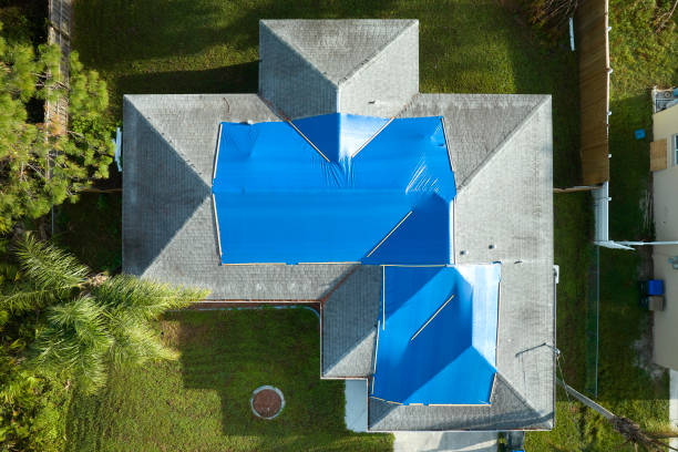Best Steel Roofing  in Logan, UT